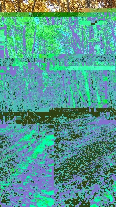 20171003222303_glitch.jpg