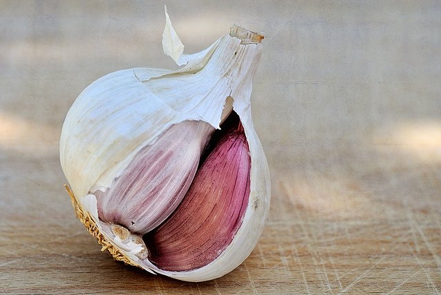 garlic.jpg