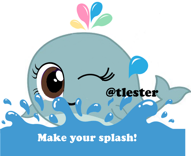 make your splash.png