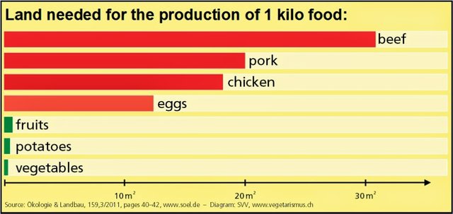 meat-land-use.jpg