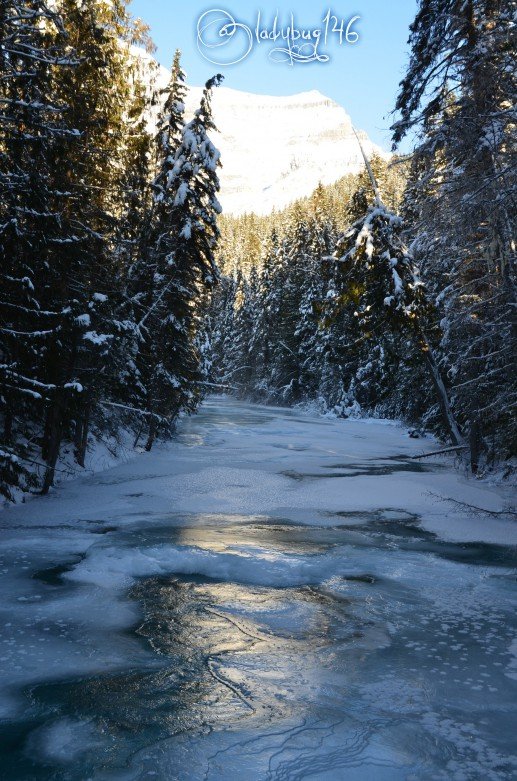 berg_lake_trail.jpg