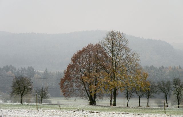 Kamýk - krajina.JPG