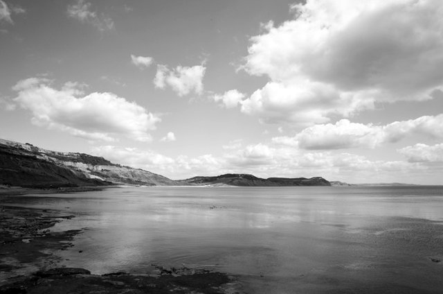 128101434981 - lyme regis at low tide bw.jpg