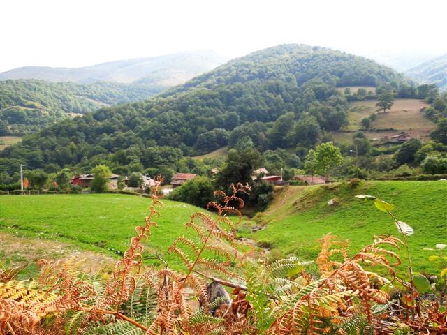 Asturias septiembre 2012 144.jpg