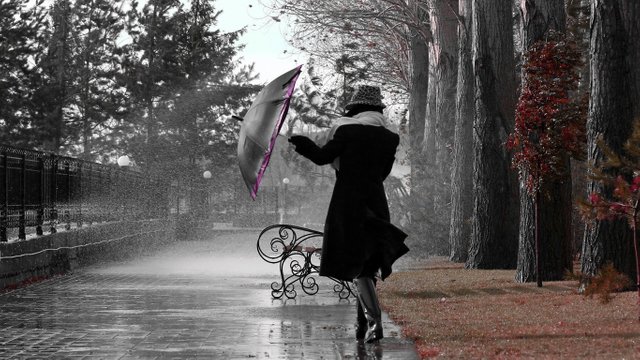 Walking-in-the-park-with-an-umbrella-in-a-rainy-day_1366x768.jpg