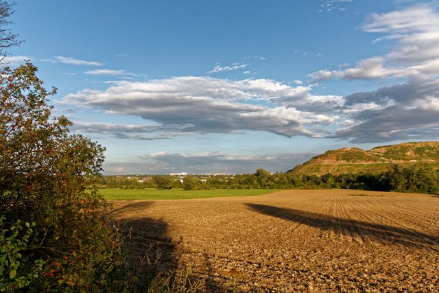 2017.08.19 Landscape 6.jpg