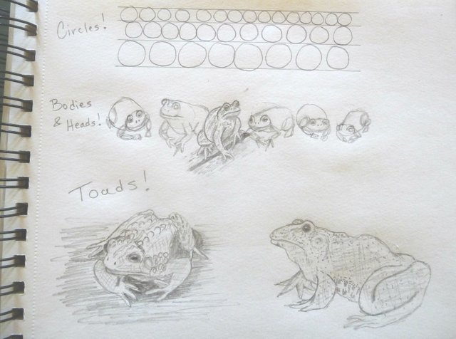Toads.jpg