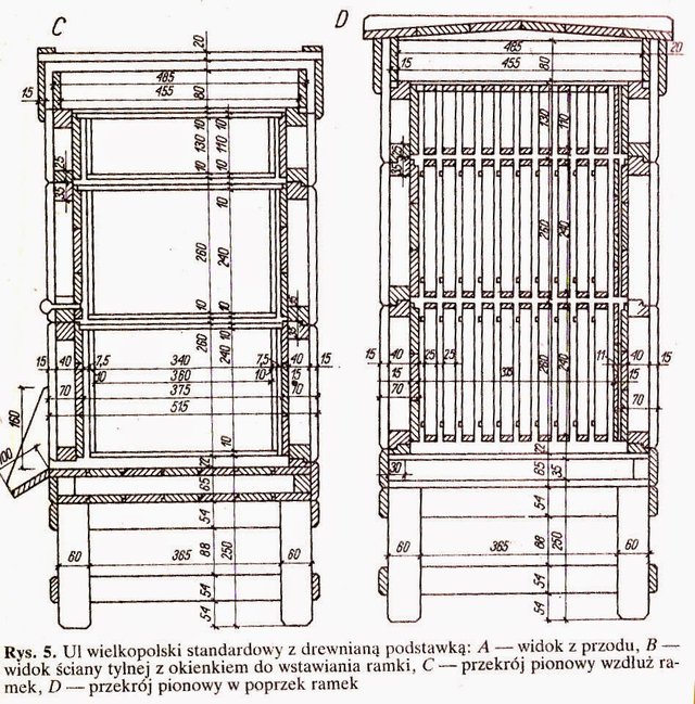 ul wielkopolski standard.jpg