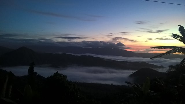 WP_20180301_05_35_51_Pro.jpg