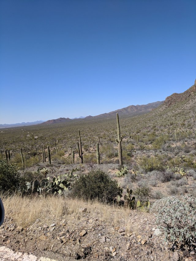 IMG_20180302_124051.jpg