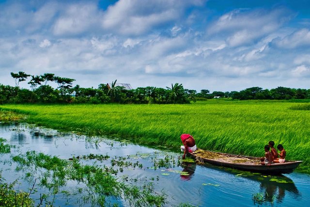 Bangladesh-nature.jpg