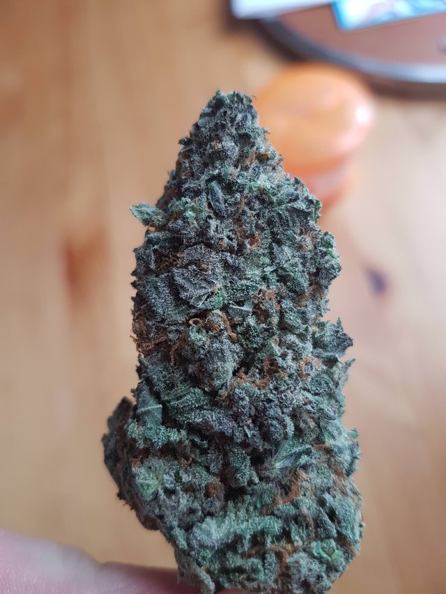 black nuken 2.jpg