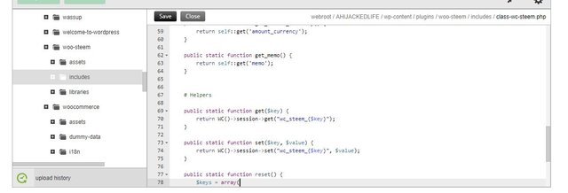 Capturewoo-steem-includes-class-wc-steem-php.JPG