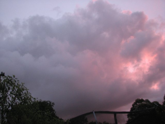 IMG_5247.JPG