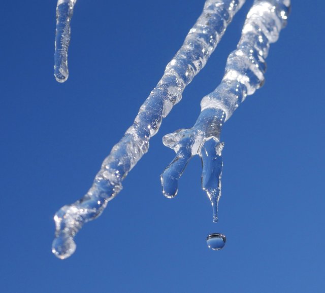 icicle2PS__cropped__.jpg