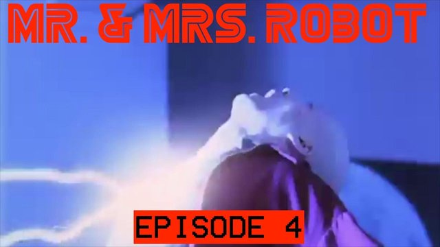 mr-mrs-robot-e4.jpg