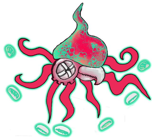 squid 3.png