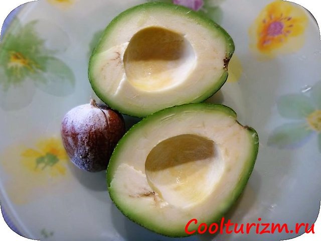 avocado.jpg