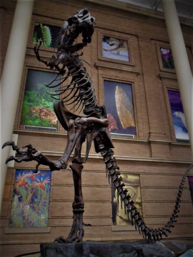 Dinosaur_skeleton_Dcen.jpg