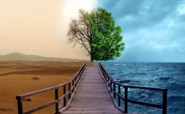 desert-meets-the-ocean-tree-bridge-sky-digital-art-1920x1200-wallpaper362435.jpg