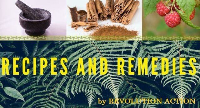 RECIPES AND REMADIES LOGO.JPG