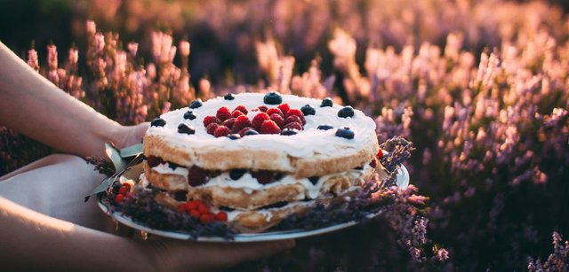 cake-nature-latvia-travel 9.jpg