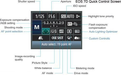 ScreendiagramDSLR101.jpg