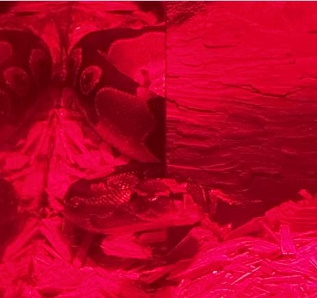 infrared-.JPG