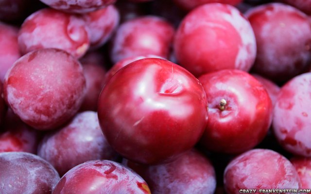 shiny-plums-wallpapers-1680x1050.jpg