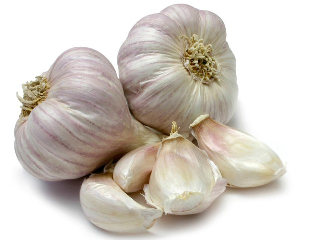 garlic.jpg