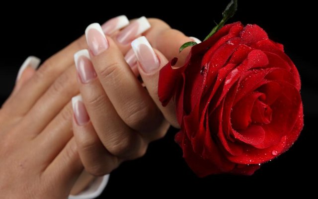 red-rose-beautiful-beauty-drops-flowers-for-you-hands-lovely-manicure-nature-photography-pretty-rose-hd-2K-wallpaper-middle-size.jpg