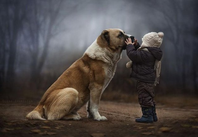 animal-children-photography-elena-shumilova-1_653px.jpg