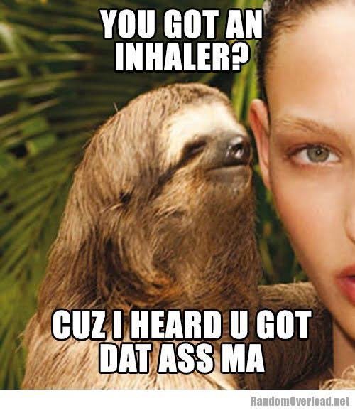 You-got-an-inhaler-cuz-i-heard-u-got-dat-ass-ma-Funny-Sloth-Wisper-Memes.jpg