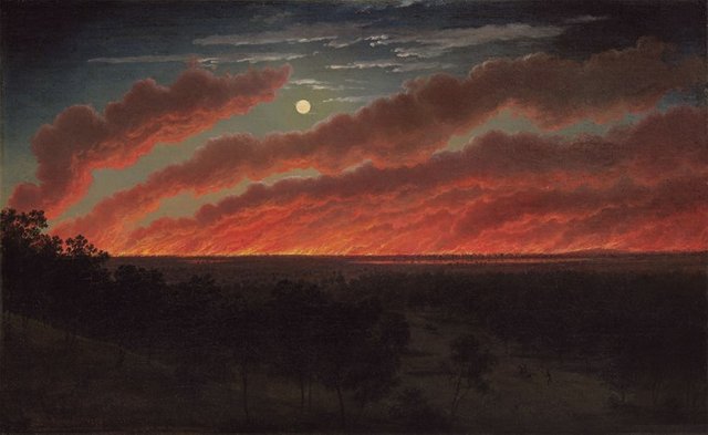 IMAGE1_EugenevonGuerard_Bushfire.jpg