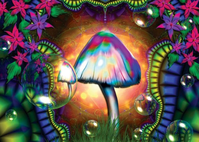 magic mushrooms.jpg