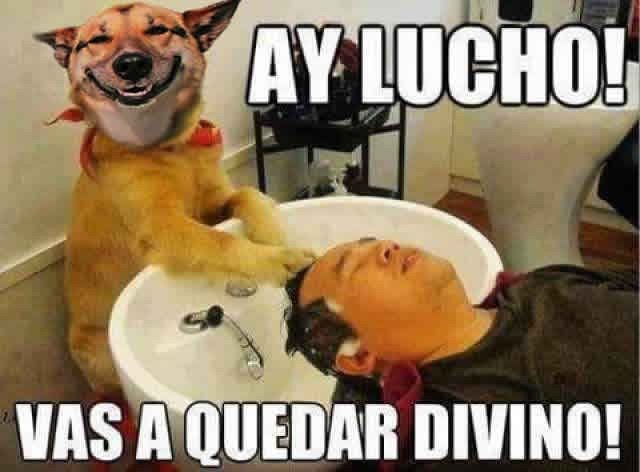 lucho.jpg