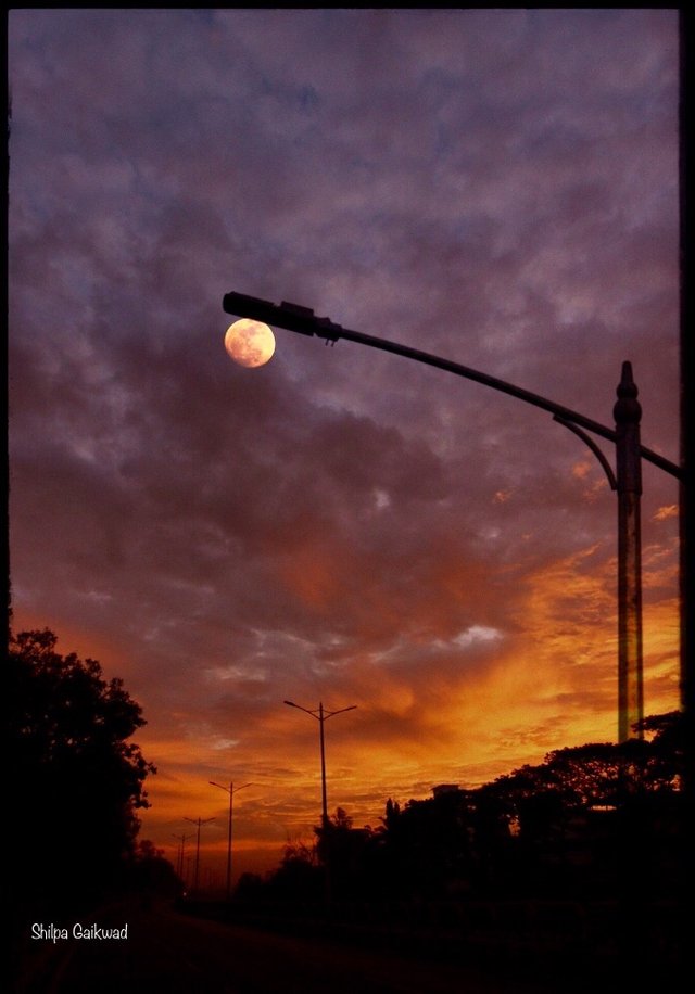 97FF7CC1-180D-4B0E-8469-C59B4264F08D.jpeg