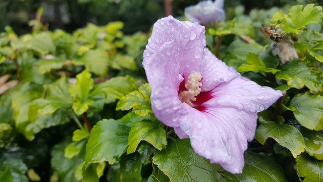 20171007_105126.jpg