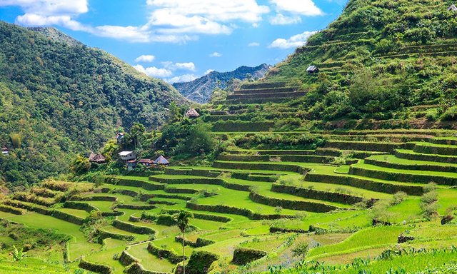 Banaue-Rice-Terraces.jpg