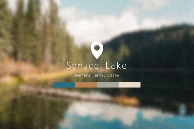 spruce.jpg