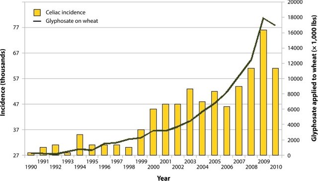 glyphosate on wheat to celiac incidence.jpg