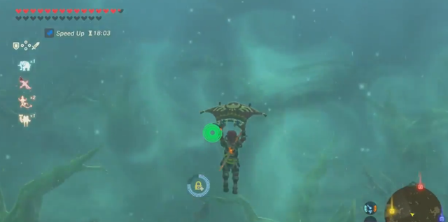 Link flying above the Lost Woods.png
