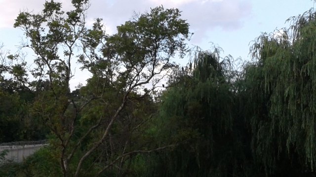 20180310_173117.jpg