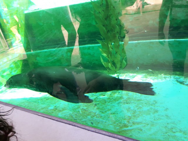 20170528_171026.jpg