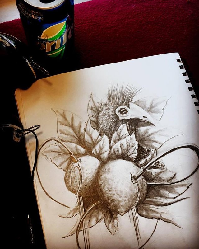 freshlist lime bird sketch.jpg