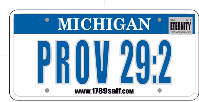 license plate - prov 29-2 - salf.jpg