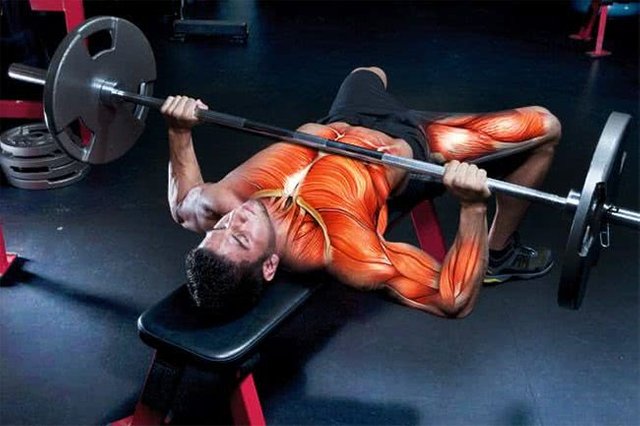 bench-press.jpg