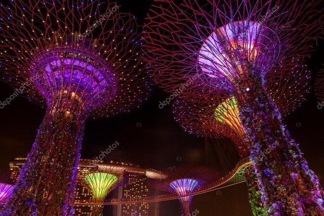 marina bay luces.jpg