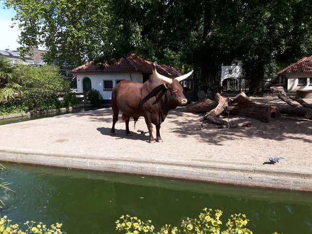 20170528_163701.jpg