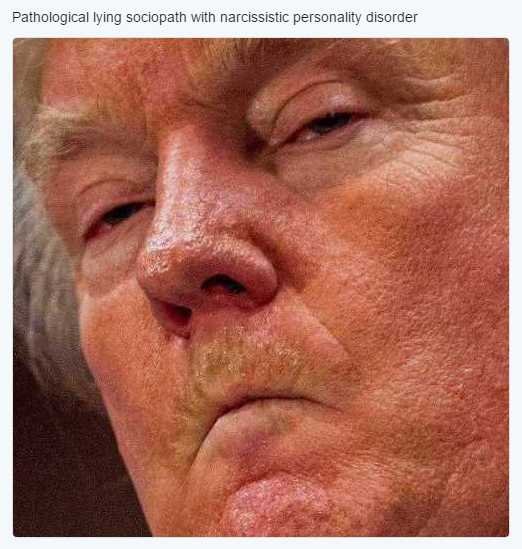 trumpCloseup.jpg